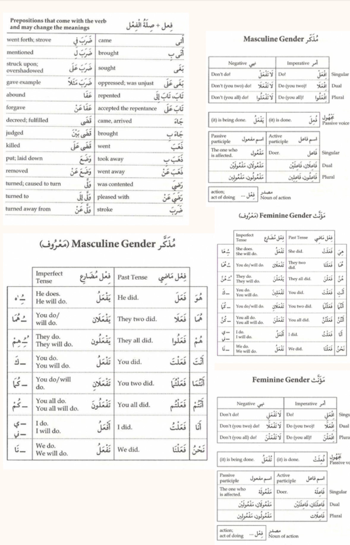 Unlocking the Quran: Understanding 70% of the Quran in 12 pages of Vocabulary