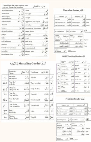 Unlocking the Quran: Understanding 70% of the Quran in 12 pages of Vocabulary